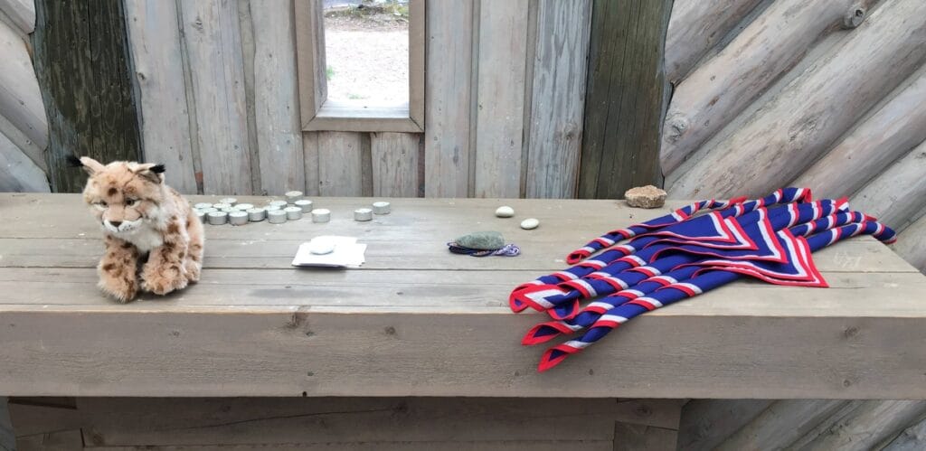 Toimeliaisuuspalkinto partiolaisille - Lue lisää